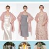 BEAUTELIATE Soft Chiffon Scarfs Shawls and Wraps for Evening Dresses Bridal Wedding Shawl Wraps